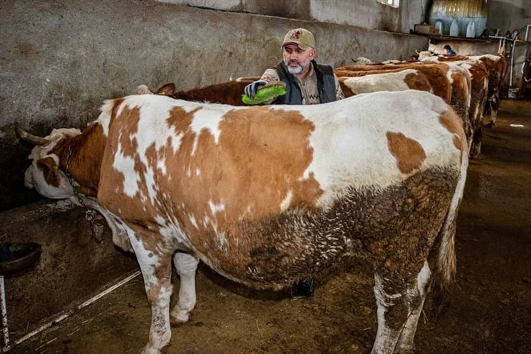 İstanbul'daki işini bıraktı, tek kuruş devlet desteği almadan Erzurum'da dev tesis kurdu 9